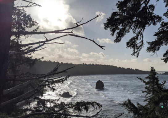 Ozette Loop